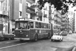 1981 Bus n.104 Lin.1-2 Via Battisti